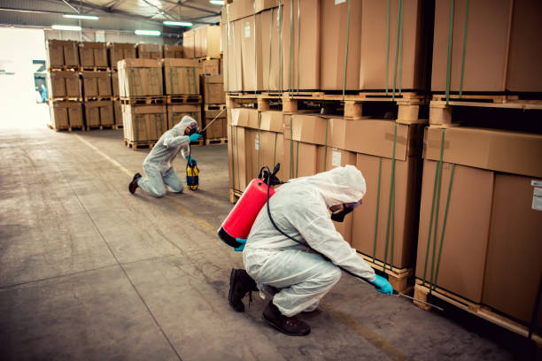 Best Bed Bug Extermination  in North Bay Shore, NY