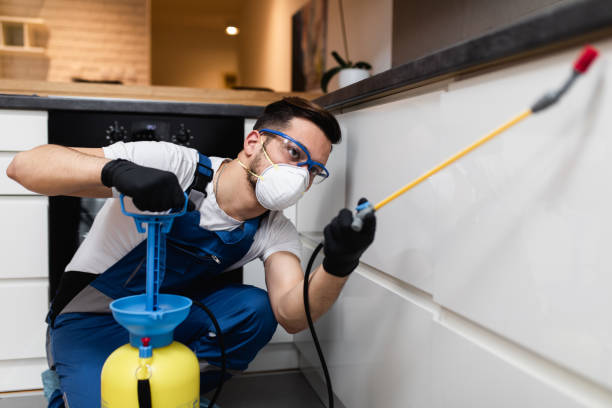  North Bay Shore, NY Pest Control Pros