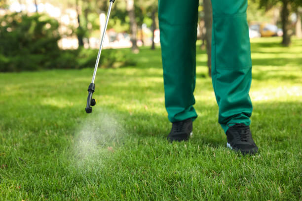 Pest Control for Restaurants in North Bay Shore, NY