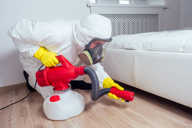 Best Flea Control Services  in North Bay Shore, NY