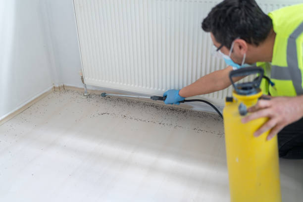 Best Termite Control Services  in North Bay Shore, NY